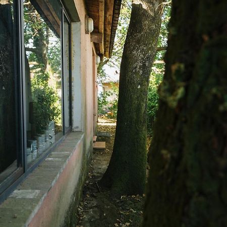 קאפאנורי Studio/Flat Rustic Tuscan Marziani 2 מראה חיצוני תמונה